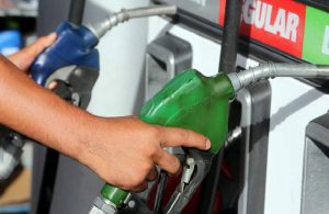Gasolina baja cinco pesos, el GLP tres y el gasoil dos
