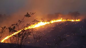 Fuego forestal afecta Jaiquí Picado en La Cuesta de Sajoma